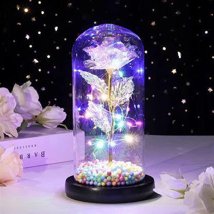 Stunning Glass Dome Rose Gift – A Timeless Treasure for Mother's Day and Beyond