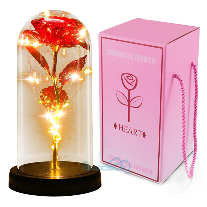 Stunning Glass Dome Rose Gift – A Timeless Treasure for Mother's Day and Beyond