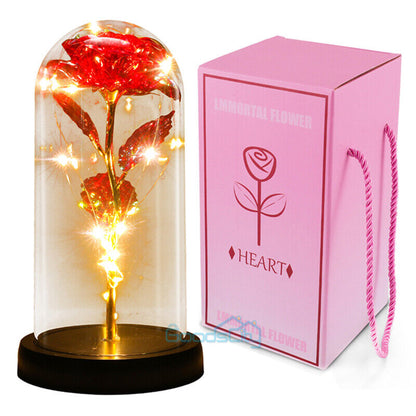 Stunning Glass Dome Rose Gift – A Timeless Treasure for Mother's Day and Beyond