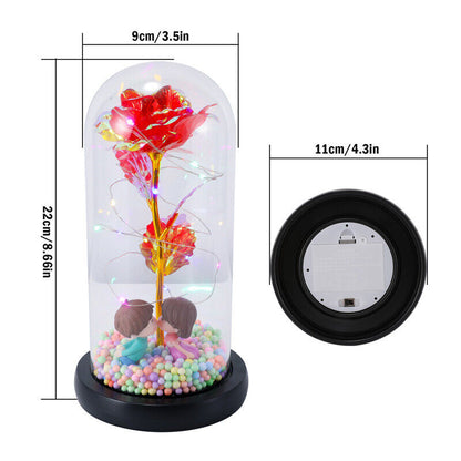 Stunning Glass Dome Rose Gift – A Timeless Treasure for Mother's Day and Beyond