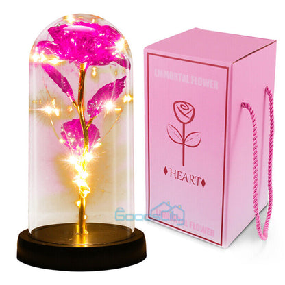 Stunning Glass Dome Rose Gift – A Timeless Treasure for Mother's Day and Beyond