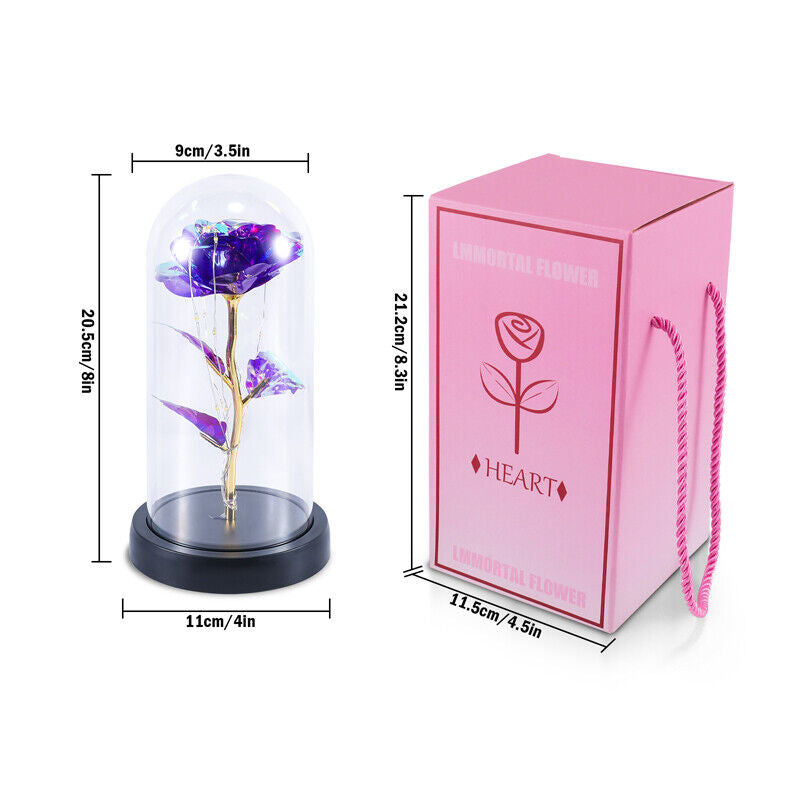 Stunning Glass Dome Rose Gift – A Timeless Treasure for Mother's Day and Beyond