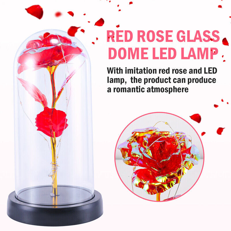 Stunning Glass Dome Rose Gift – A Timeless Treasure for Mother's Day and Beyond