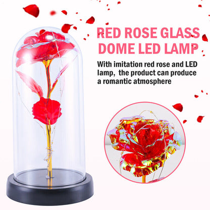 Stunning Glass Dome Rose Gift – A Timeless Treasure for Mother's Day and Beyond