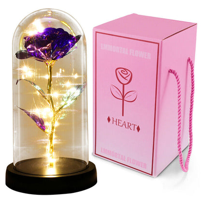 Stunning Glass Dome Rose Gift – A Timeless Treasure for Mother's Day and Beyond