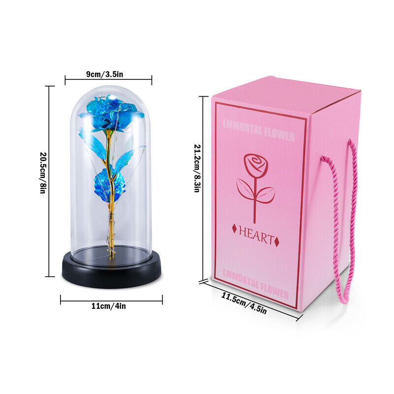 Stunning Glass Dome Rose Gift – A Timeless Treasure for Mother's Day and Beyond