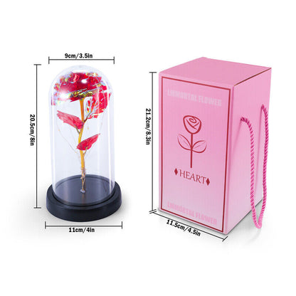 Stunning Glass Dome Rose Gift – A Timeless Treasure for Mother's Day and Beyond